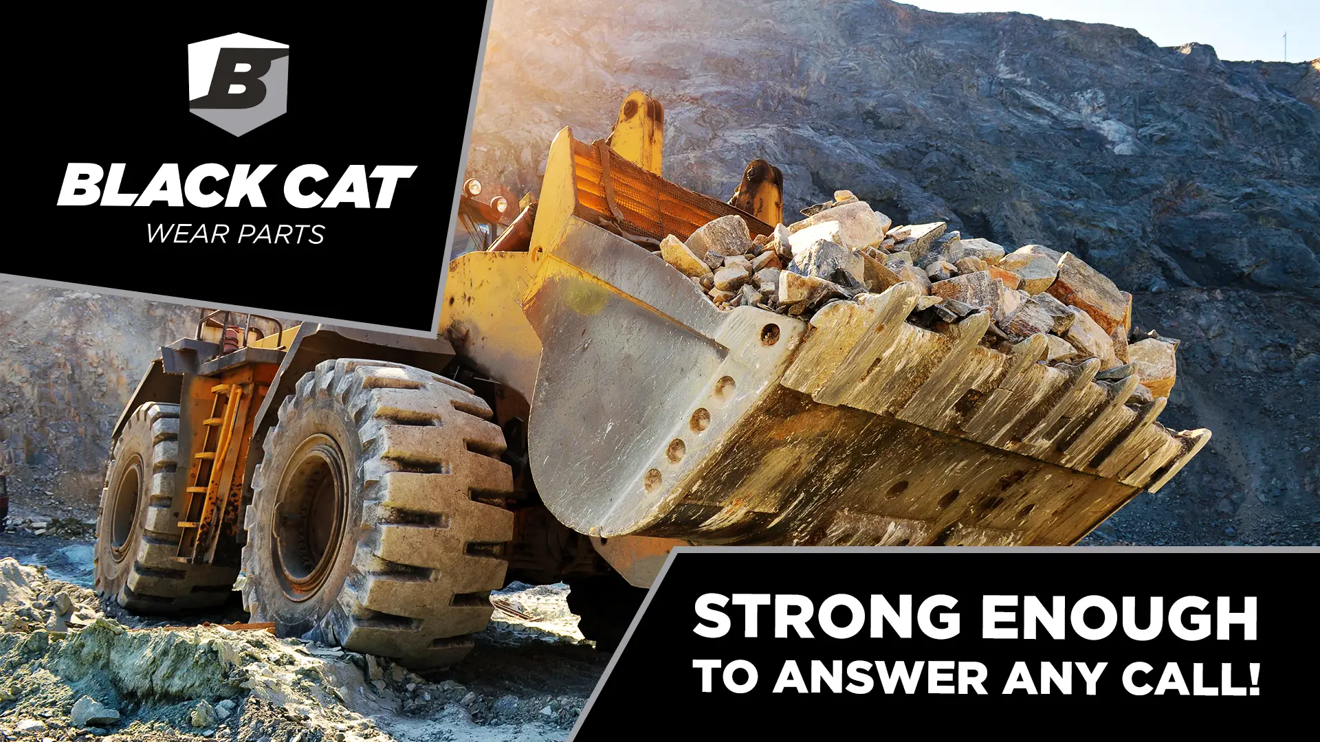 Loader Black Cat Wear Parts