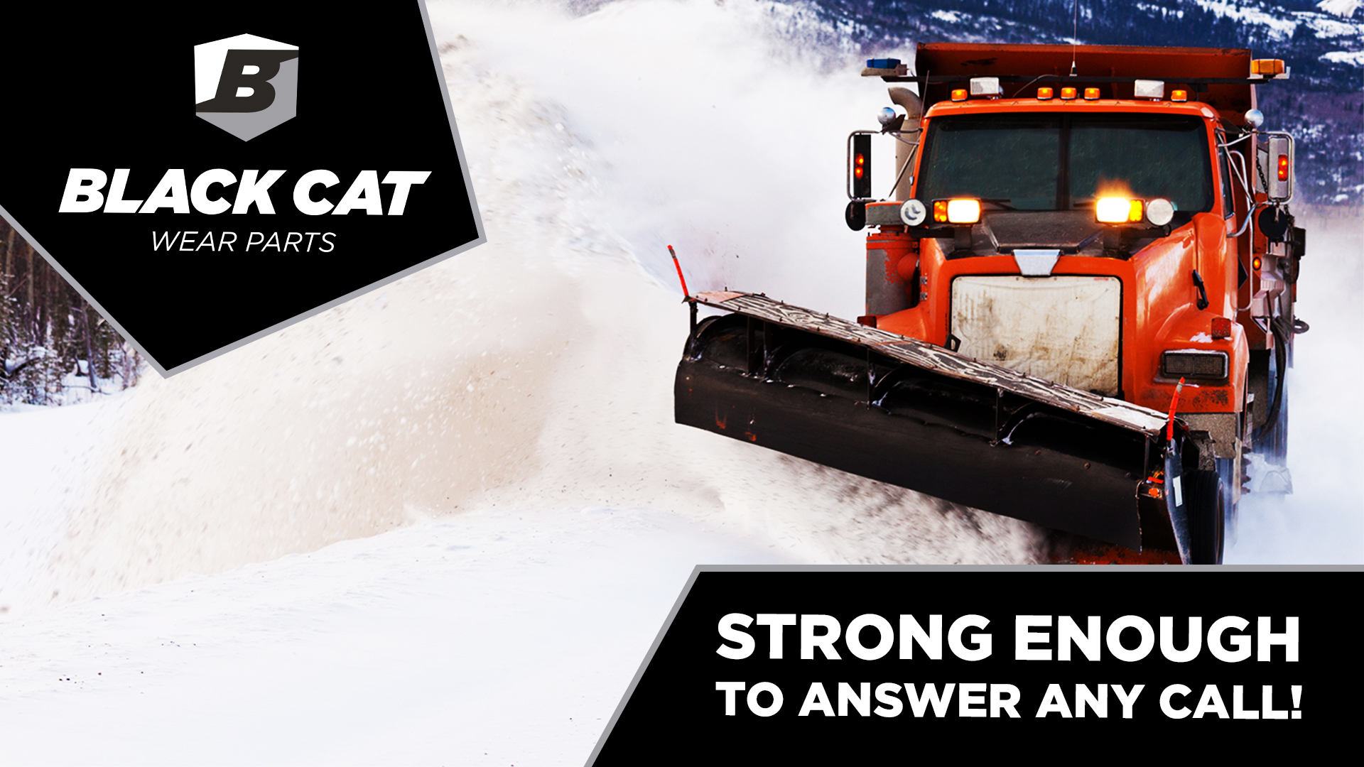 Snow Plow Black Cat Wear Parts